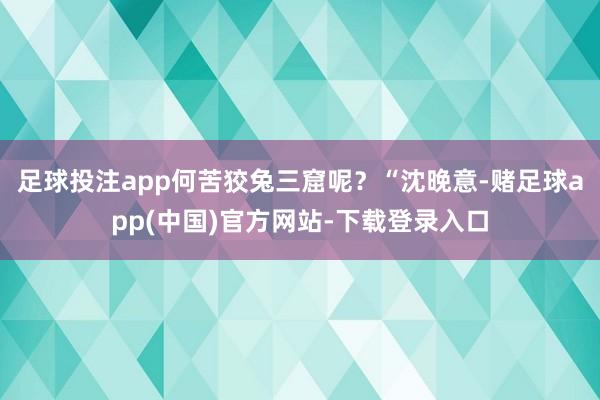 足球投注app何苦狡兔三窟呢？“沈晚意-赌足球app(中国)官方网站-下载登录入口