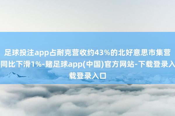 足球投注app占耐克营收约43%的北好意思市集营收同比下滑1%-赌足球app(中国)官方网站-下载登录入口