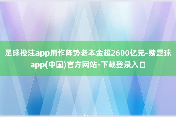 足球投注app用作阵势老本金超2600亿元-赌足球app(中国)官方网站-下载登录入口