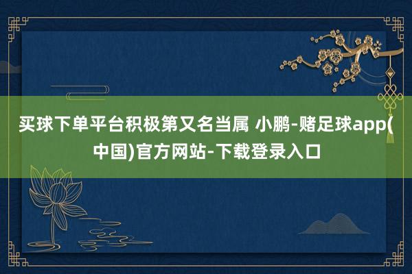 买球下单平台积极第又名当属 小鹏-赌足球app(中国)官方网站-下载登录入口