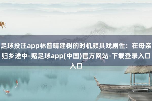 足球投注app林普晴建树的时机颇具戏剧性：在母亲归乡途中-赌足球app(中国)官方网站-下载登录入口