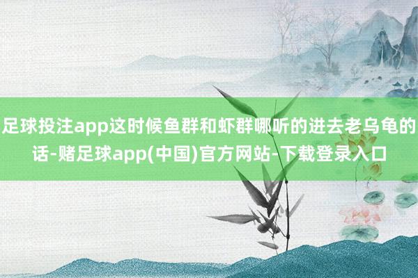 足球投注app这时候鱼群和虾群哪听的进去老乌龟的话-赌足球app(中国)官方网站-下载登录入口