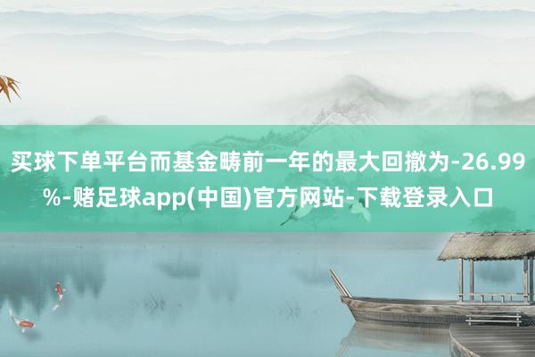 买球下单平台而基金畴前一年的最大回撤为-26.99%-赌足球app(中国)官方网站-下载登录入口