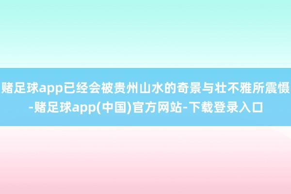 赌足球app已经会被贵州山水的奇景与壮不雅所震慑-赌足球app(中国)官方网站-下载登录入口