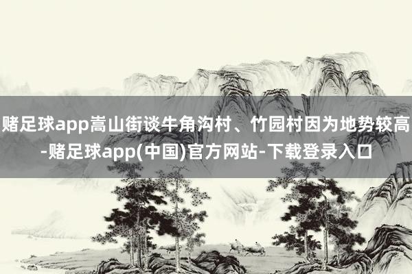 赌足球app嵩山街谈牛角沟村、竹园村因为地势较高-赌足球app(中国)官方网站-下载登录入口