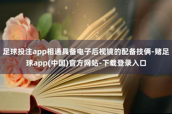 足球投注app相通具备电子后视镜的配备技俩-赌足球app(中国)官方网站-下载登录入口