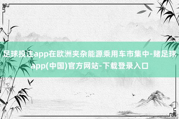 足球投注app在欧洲夹杂能源乘用车市集中-赌足球app(中国)官方网站-下载登录入口