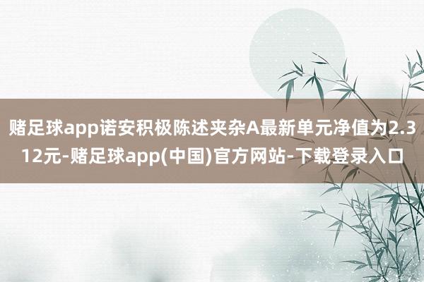 赌足球app诺安积极陈述夹杂A最新单元净值为2.312元-赌足球app(中国)官方网站-下载登录入口