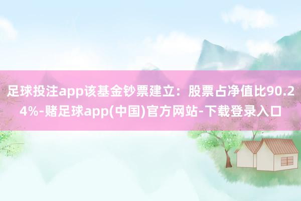 足球投注app该基金钞票建立：股票占净值比90.24%-赌足球app(中国)官方网站-下载登录入口