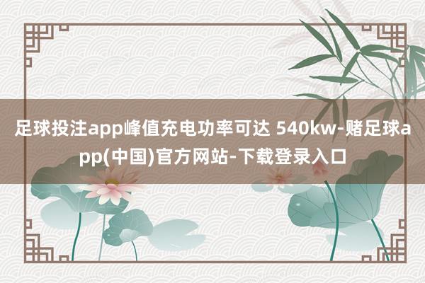 足球投注app峰值充电功率可达 540kw-赌足球app(中国)官方网站-下载登录入口