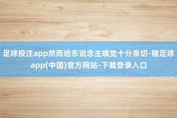 足球投注app然而给东说念主嗅觉十分亲切-赌足球app(中国)官方网站-下载登录入口